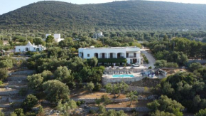 B&B Pozzo Di Luce Monopoli